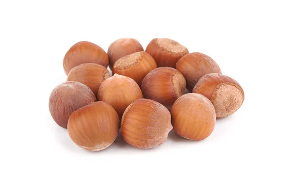 Hazelnuts — Stock fotografie