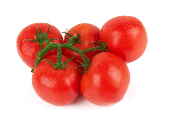 Tomatoes — Stock Photo, Image