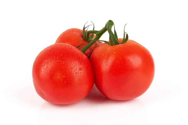 Tomaten — Stockfoto