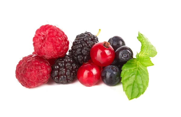 Berries — Stock Photo, Image