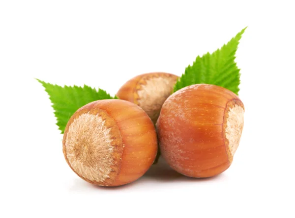 Nuts — Stock Photo, Image