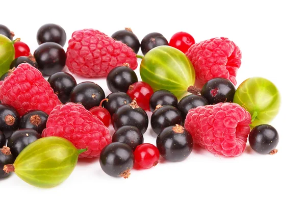 Beeren — Stockfoto