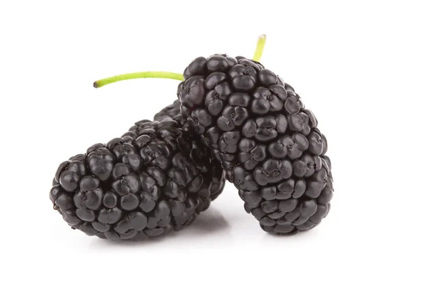 Mulberries — 스톡 사진