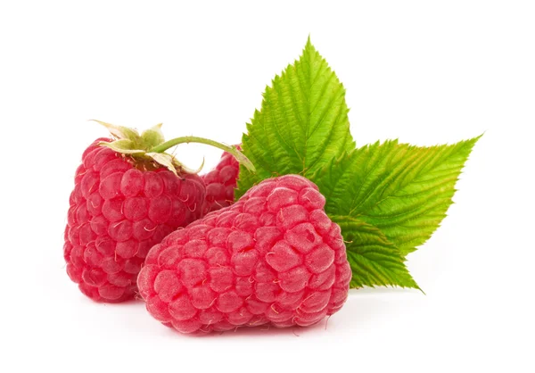 Raspberry — Stock Photo, Image