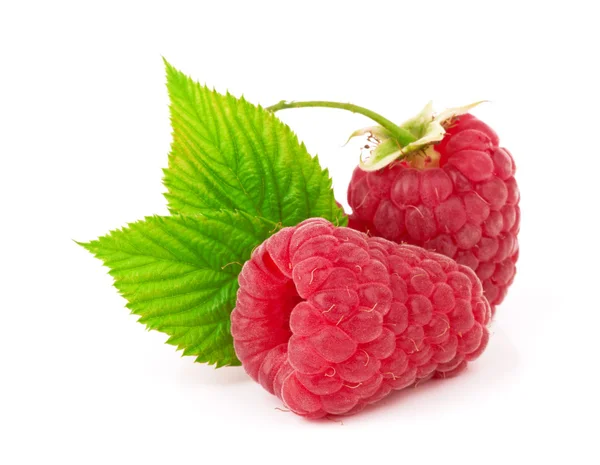 Raspberry — Stock Photo, Image