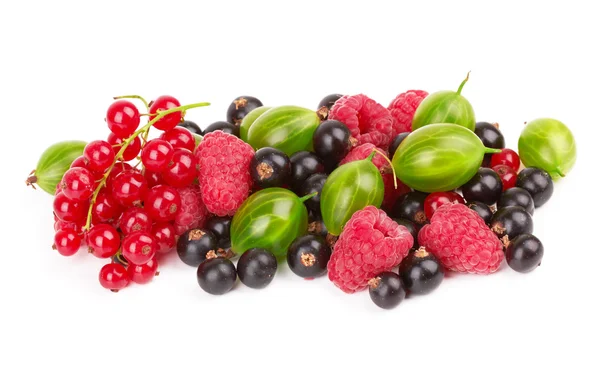 Berries — Stock Photo, Image