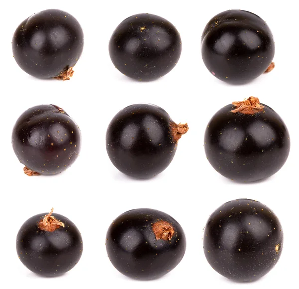 Black currant — Stock Photo, Image