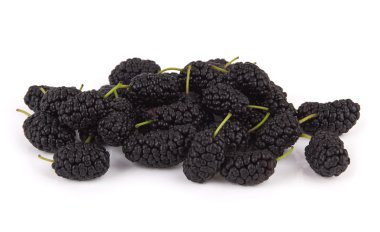 Bir beyaz üzerine siyah dut