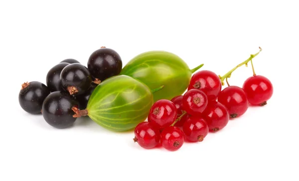 Berries  on a  white — Stock Photo, Image