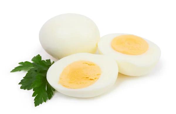 Egy fehér tojás — Stock Fotó