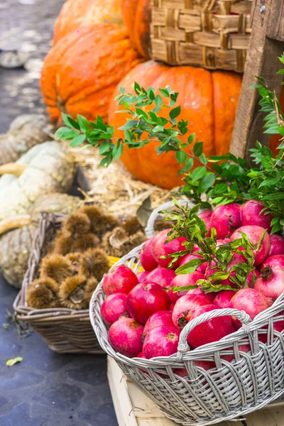 Fruit market with chestnut ,pumpkins and garnet in Campo di Fior — Stock Photo, Image