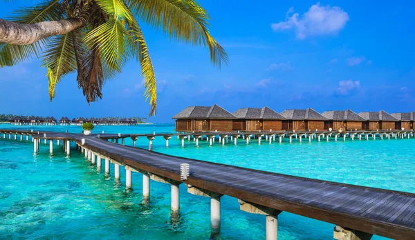 Luxury vacation in Maldives - water bungalow — Stock Photo, Image