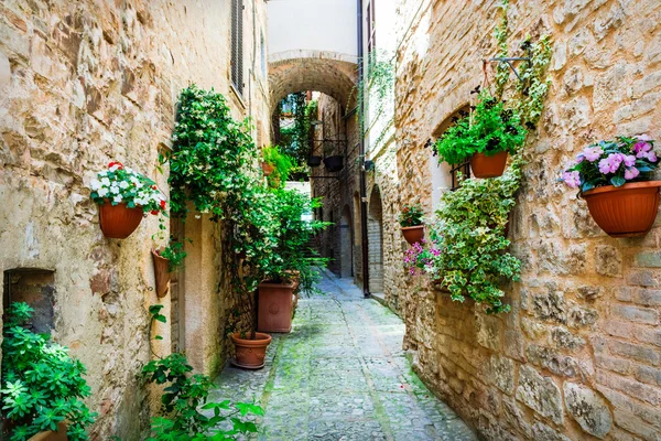 Hermoso pueblo Spello (Umbría, Italia) con calles florales — Foto de Stock