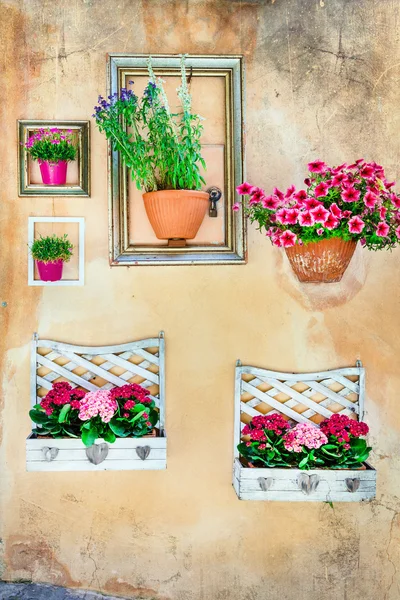 Arte floral - marcos vacíos con macetas florales en la pared — Foto de Stock
