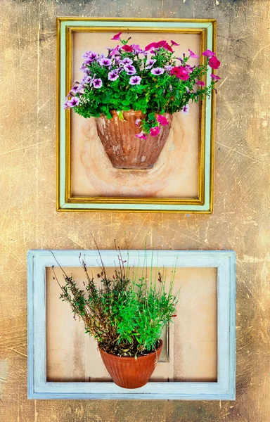 花のアートの壁に花鉢と空のフレーム — ストック写真