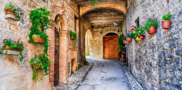 Οδός όμορφη διακόσμηση με λουλούδια σε μεσαιωνική πόλη Spello — Φωτογραφία Αρχείου