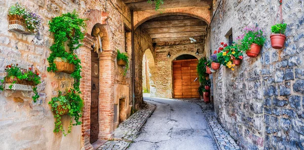 Hermosa decoración de calle con flores en la ciudad medieval Spello —  Fotos de Stock