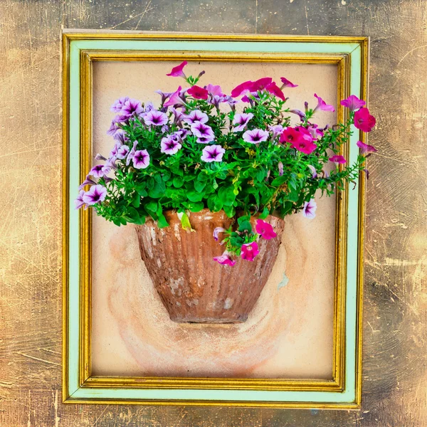 Virágos művészeti - üres fram, virág pot a falon — Stock Fotó