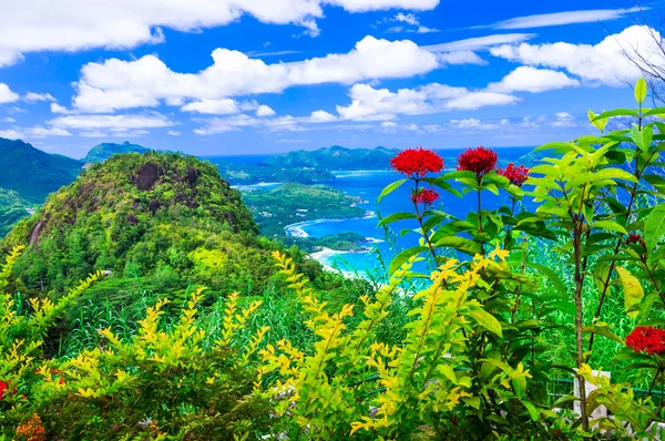 Paradiso tropicale esotico- Isole Seychelles — Foto Stock