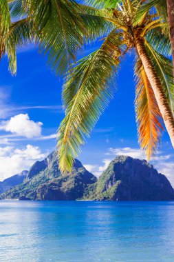 mükemmel tropikal plaj sahne - Adaları, Filipinler, Palawan