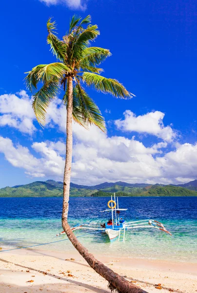 トロピカル エスケープ - 息をのむ自然とパラワン島、フィリピンのビーチ. — ストック写真