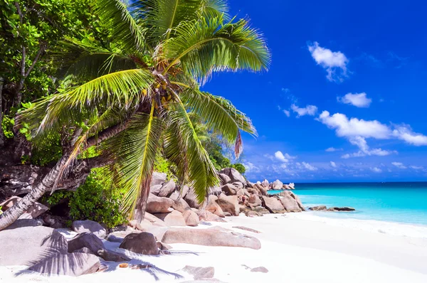 Tropická dovolená v bílé písčité pláže v Seychely, Praslin — Stock fotografie