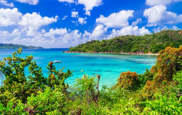 Tropikal sahne - nefes kesen Praslin Adası, Seyşel Adaları — Stok fotoğraf