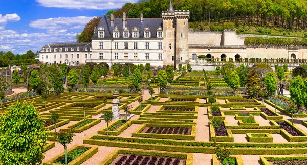 Nejkrásnější Hrady Evropy Zámecké Vily Nádhernými Botanickými Zahradami Loire Valley — Stock fotografie