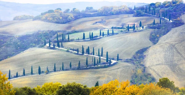 Frumos Toscana Țară Toamnă Drum Înfășurat Chiparoși Italia — Fotografie, imagine de stoc