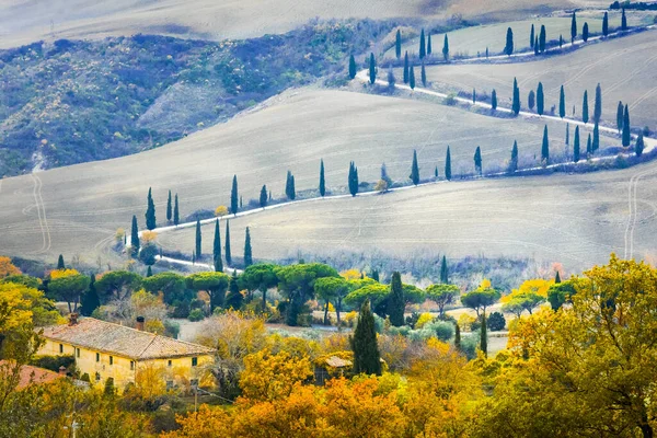 Beautiful Tuscany Countryside Winding Road Cypresses Италия — стоковое фото