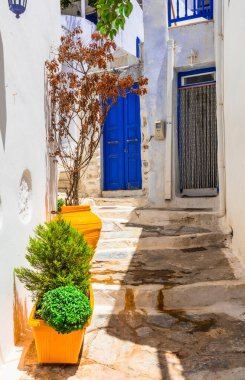 Yunanistan 'ın Kiklad adalarında renkli kapıları olan eski geleneksel beyaz köyler. Amorgolar