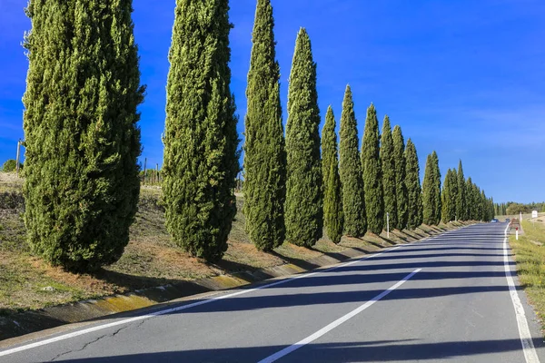 Estrada Com Ciprestes Paisagem Rural Típica Toscana Itália — Fotografia de Stock