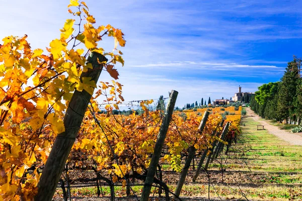 Sonbahar Manzarası Toskana Nın Kırsalında Altın Üzüm Bağları Kale Castello — Stok fotoğraf