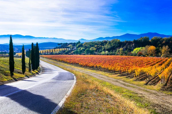 Herbstlandschaft Ländliche Landschaft Der Toskana Mit Herbstlichen Weinbergen Und Zypressen — Stockfoto