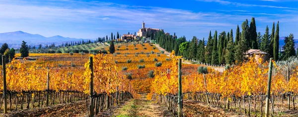 Paisaje Otoñal Campo Toscana Viñedos Oro Castillo Castello Banfi Italia —  Fotos de Stock