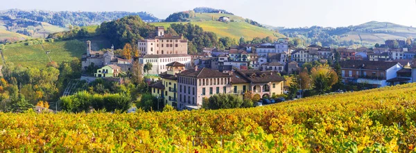 Castello Barolo Και Χωριό Διάσημη Περιοχή Αμπέλου Της Ιταλίας Piemonte — Φωτογραφία Αρχείου