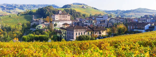 Castello Barolo Pueblo Famosa Región Vinícola Italia Piamonte Piamonte Viñedos —  Fotos de Stock