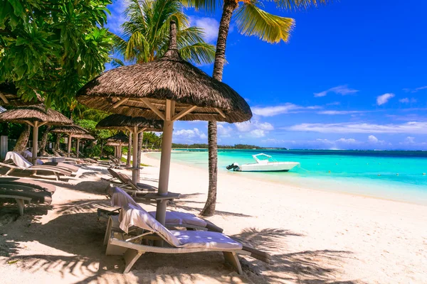 Tropik Tatil Plaj Manzarası Palmiye Ağaçları Şemsiyelerin Altında Plaj Sandalyeleri — Stok fotoğraf