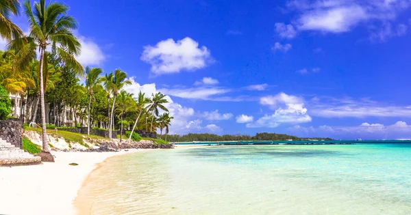 Wunderschöne Tropische Strand Insel Landschaft Bell Mare Auf Mauritius — Stockfoto