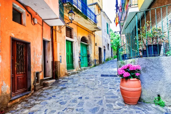 花のポットと狭い通路でイタリアの村 の魅力的な古い花の通り Cinque Terre イタリア — ストック写真