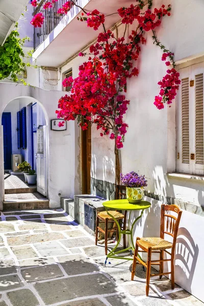 그리스의 거리들을 포장한다 분홍색 나무가 자라는 마을이야 그리스의 키클라데스 — 스톡 사진