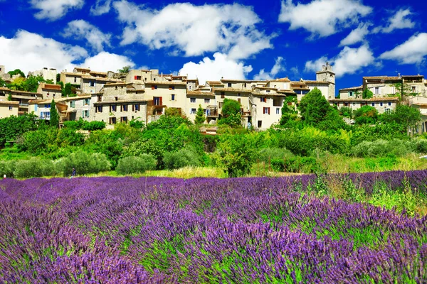 Scenery of Provence - view of Saignon village and lavander field — Stock Photo, Image