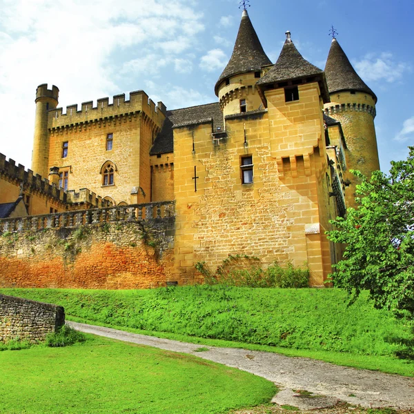 法国-Puymartin (多尔多涅省部的城堡) — 图库照片