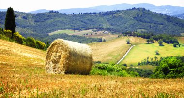 pictorial rural landscapes of Tuscany, Italy clipart
