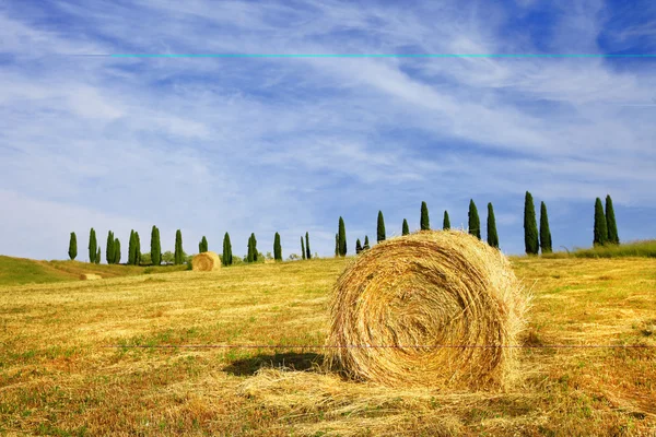 Paysages ruraux pittoresques de Toscane, Italie — Photo