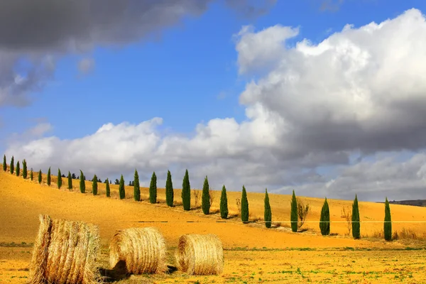 Colinas doradas de Toscana. Paisajes italianos —  Fotos de Stock