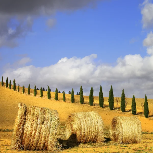 Colinas douradas da Toscana. Paisagens italianas — Fotografia de Stock