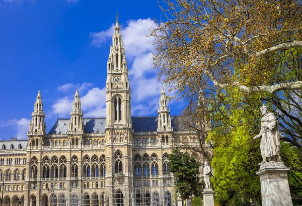 Beautiful Vienna, City hall — Stock Photo, Image