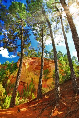 forest and rocks of natural ochre in Roussillon, Provence, Franc clipart