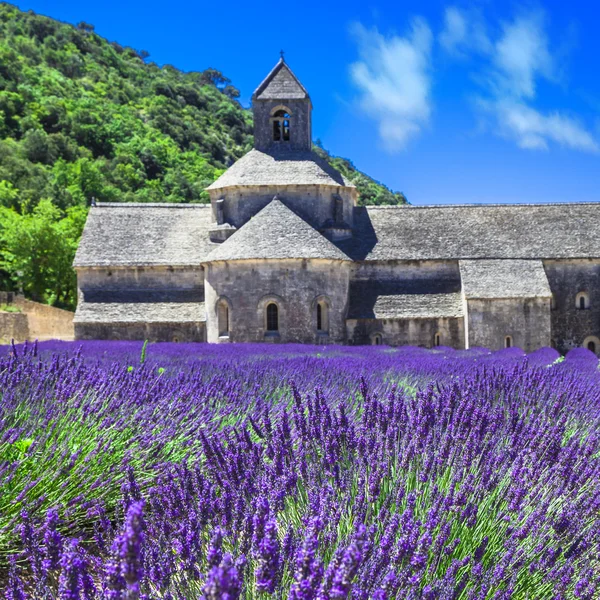 Abbaye de senanque mit blühendem Lavendelfeld, provence, fran — Stockfoto